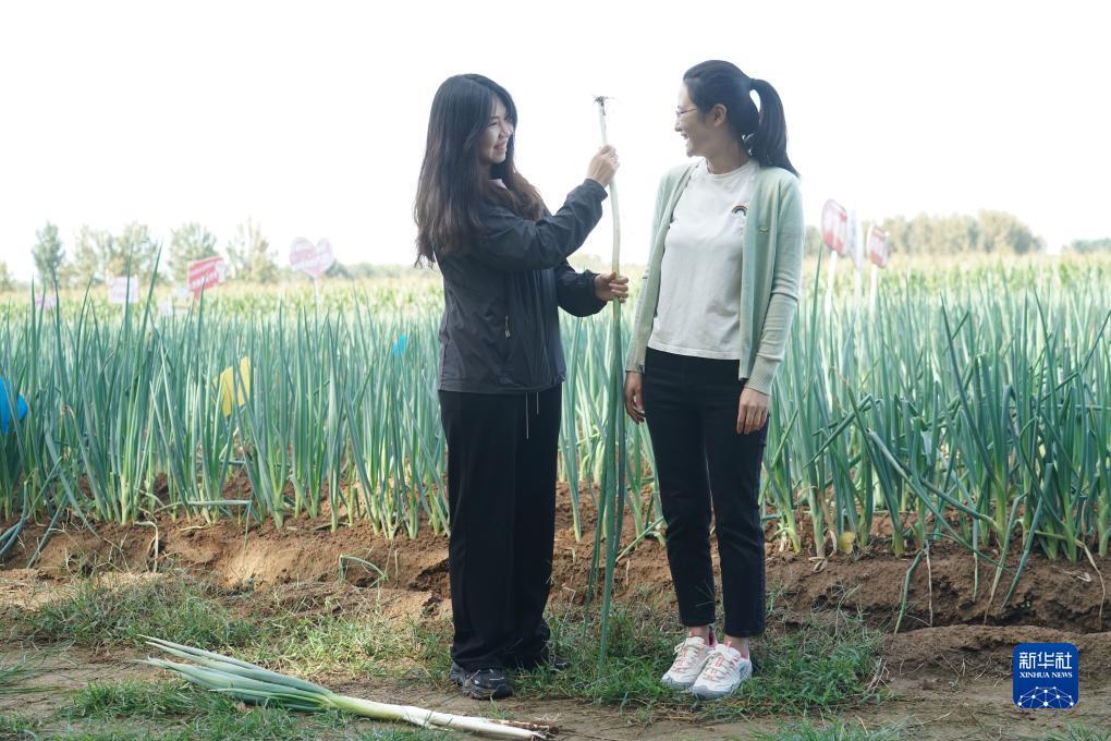 菠菜导航网免费推荐